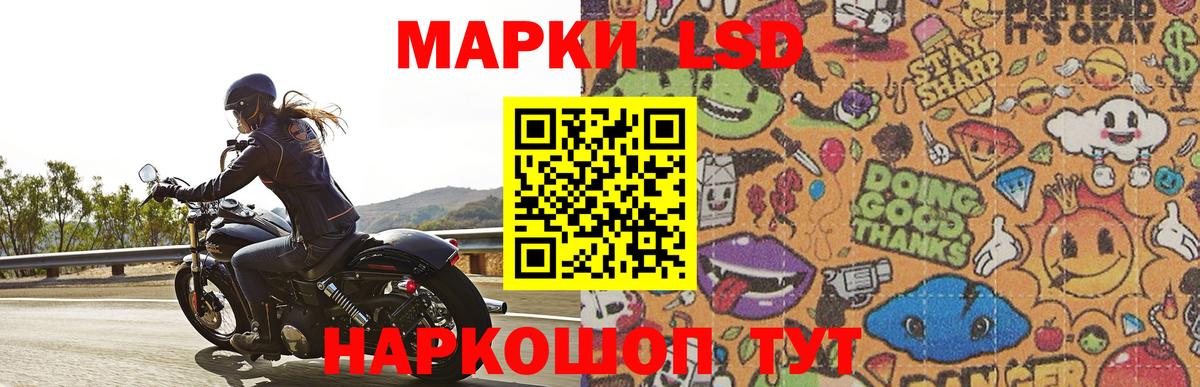 Сокол  ЛСД экстази  Лсд 25 экстази ecstasy  Вход с VPN  Лсд 25 экстази ecstasy 
