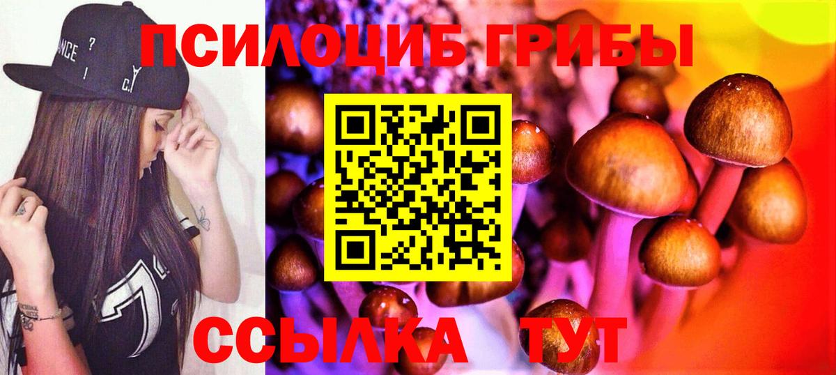Галлюциногенные грибы мухоморы Сокол