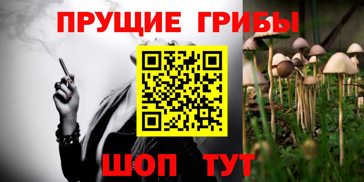 Сокол  Галлюциногенные грибы Magic Shrooms  Псилоцибиновые грибы мухоморы  Вход с VPN 